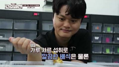 반려 파충류의 모든 것! 고수열전에서 알려드립니다!_240728_상위 1% 비밀 고수열전_낭게코