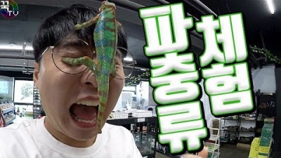 (100%실제상황) 파충류 체험하다 기절할뻔ㅋㅋㅋ (타란튤라주의) feat.정브르[ 꾹TV ] (Interesting Bug Shop in Real Life)