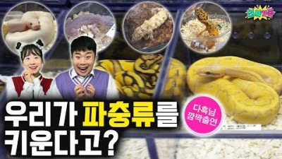 우리가 반려동물로 파충류를 키운다면??? 어떤 걸 키우면 좋을까요? &#39;유튜버 다흑님 출연&#39; /인싸가족 시트콤