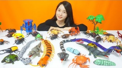 RC 헥스버그 거미 리모컨 개구리 개미 뱀 애벌레 전갈 코브라 곤충 동물 공룡 장난감