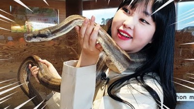 뱀이 귀여운 유라~ 곤충 박물관에 가다! 파충류편 자연 관찰 학습