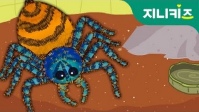 왕거미 타란튤라 키우기 | 어린이 곤충관찰 | 지니키즈★인기 과학동화