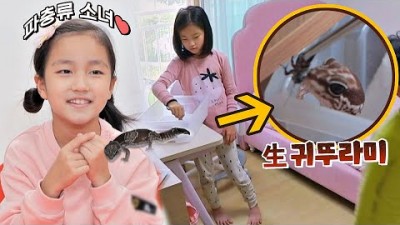 반려 도마뱀에게 직접 생 귀뚜라미 먹여주는 서윤(=파충류 소녀❤) 내가 키운다(naeki) 16회 | JTBC 211103 방송