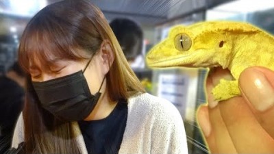 여동생 손에 도마뱀 올려버리기!ㅋㅋㅋㅋㅋ
