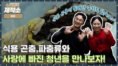 [식용 곤충, 파충류] I 밀웜부터 도마뱀까지..❗ 곤충, 파충류 총 집합???? I 생방송투데이 [프리]