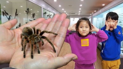 진짜 거미가 있다고요?!! 서은이의 파충류 박물관 방문 Museum of Reptiles with Snake and Spider